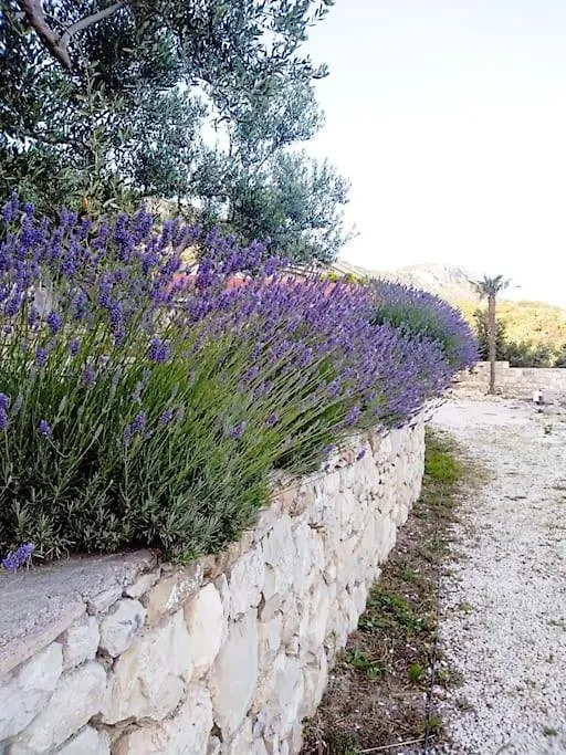 Stone House Angelo - Peace Oasis With Pool Villa Kastel Luksic Holiday home